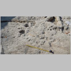 DSCN1035cr-2nd squiggle.jpg